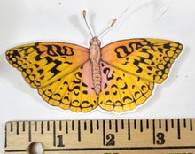 Load image into Gallery viewer, Aphrodite Flitterary Butterfly Sticker