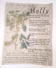 Load image into Gallery viewer, Magical Herbalism Prints