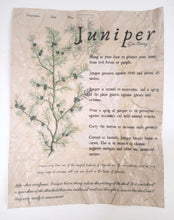 Load image into Gallery viewer, Magical Herbalism Prints