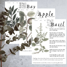 Load image into Gallery viewer, DIGITAL DOWNLOAD - Magical Herbalism Book of Shadows Kitchen Witch Decor Pages - 10 magical plants folklore - Apple, Bay, Basil and more