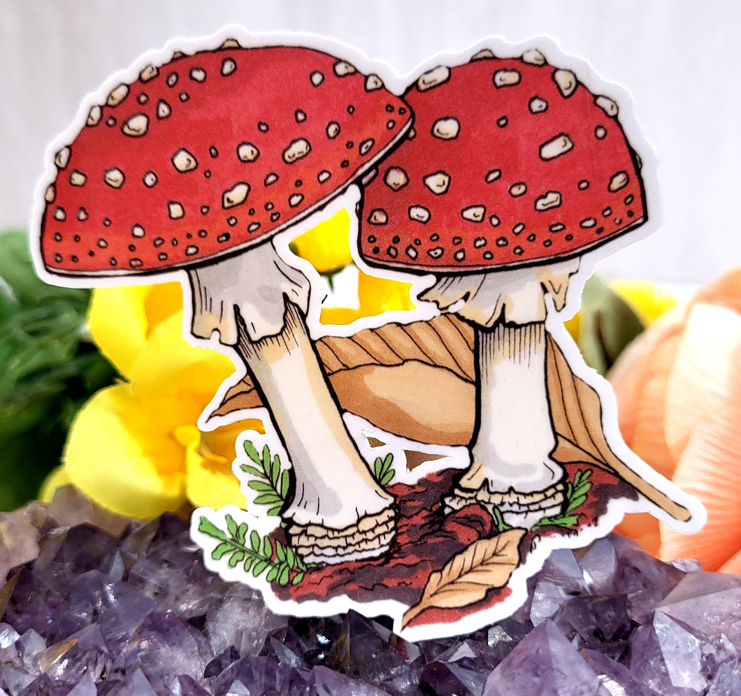 Mushroom Drawing Vinyl Art Sticker