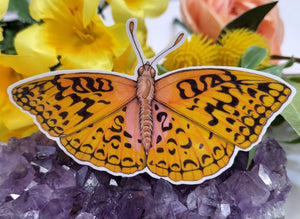 Aphrodite Flitterary Butterfly Sticker