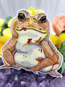 Cane Toad Sticker