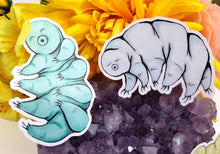 Load image into Gallery viewer, Tardigrade Stickers, Set of 4 Vinyl Stickers
