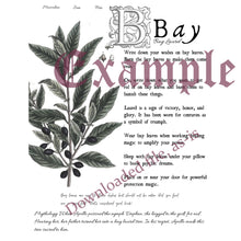 Load image into Gallery viewer, DIGITAL DOWNLOAD - Magical Herbalism Book of Shadows Kitchen Witch Decor Pages - 10 magical plants folklore - Apple, Bay, Basil and more
