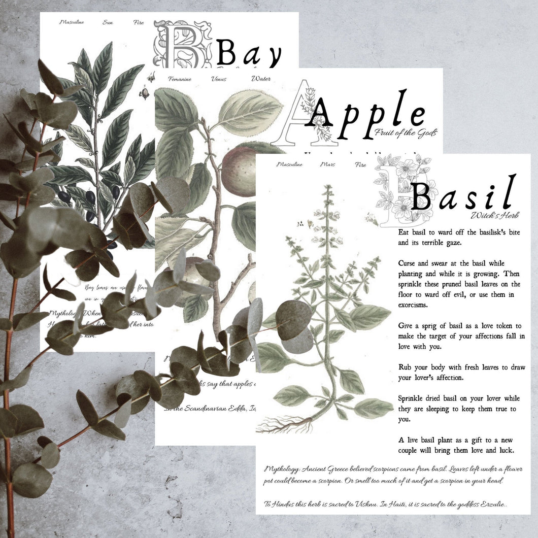 DIGITAL DOWNLOAD - Magical Herbalism Book of Shadows Kitchen Witch Decor Pages - 10 magical plants folklore - Apple, Bay, Basil and more